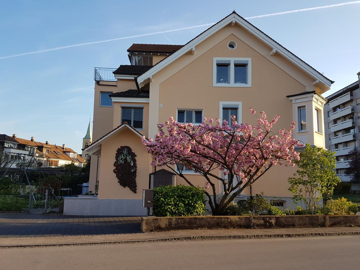 Birsfelden Niros Bed & Breakfast מראה חיצוני תמונה